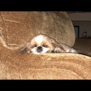 Meet your Posher, Veronica